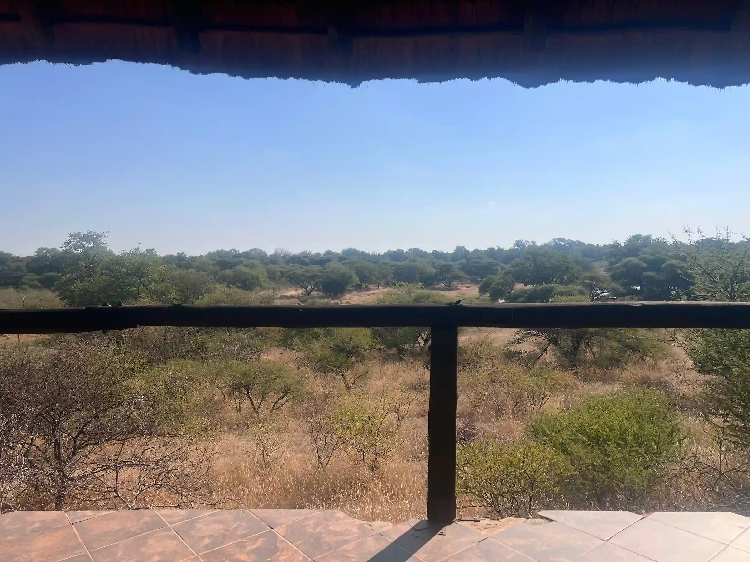 ntorno natural del lodge al atardecer, con edificios de estilo africano rodeados de naturaleza y total tranquilidad.